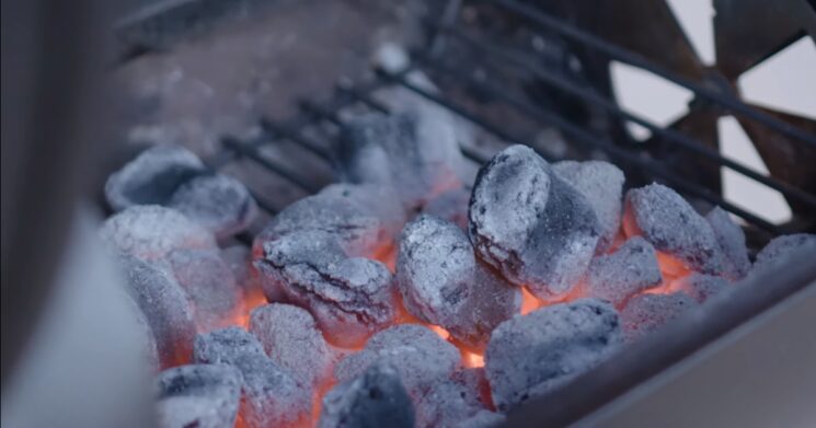 Differentiating Between Gas, Charcoal, and Electric Grills